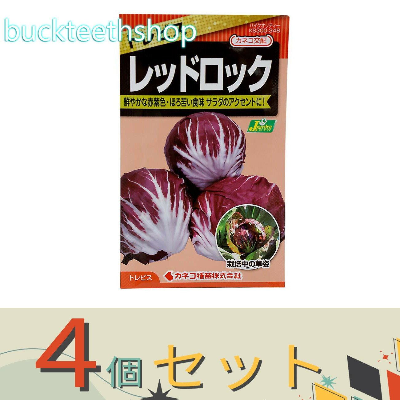 ※4個セット※カネコ種苗　タネ　トレビス　レッドロック
