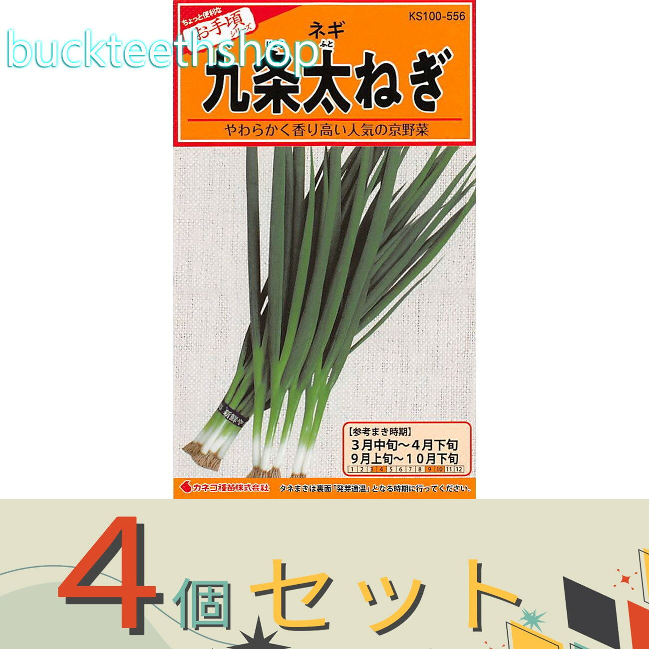 ※4個セット※カネコ種苗　タネ　九条太ねぎ