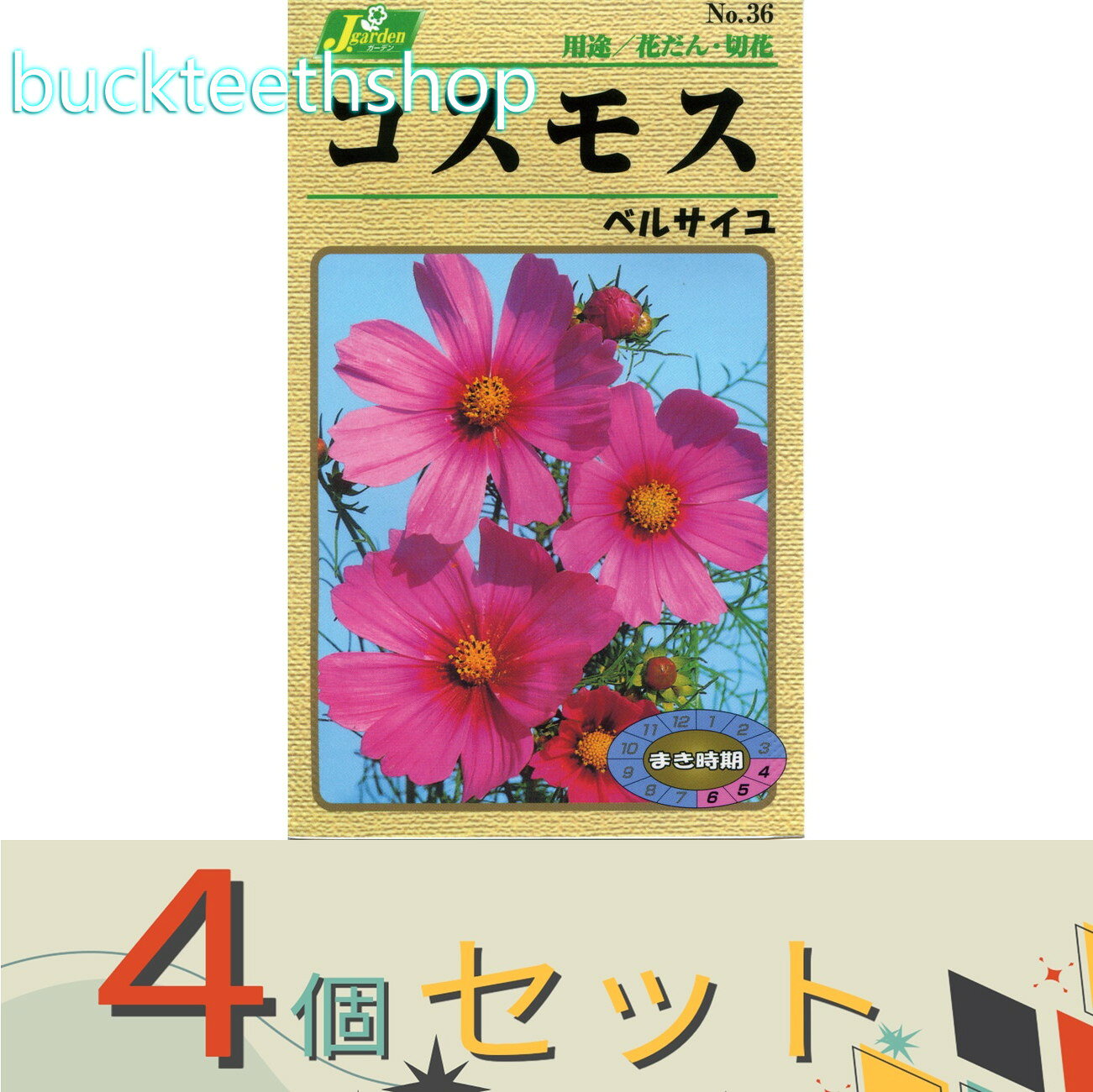 ※4個セット※カネコ種苗　タネ　コスモス　ベルサイユ