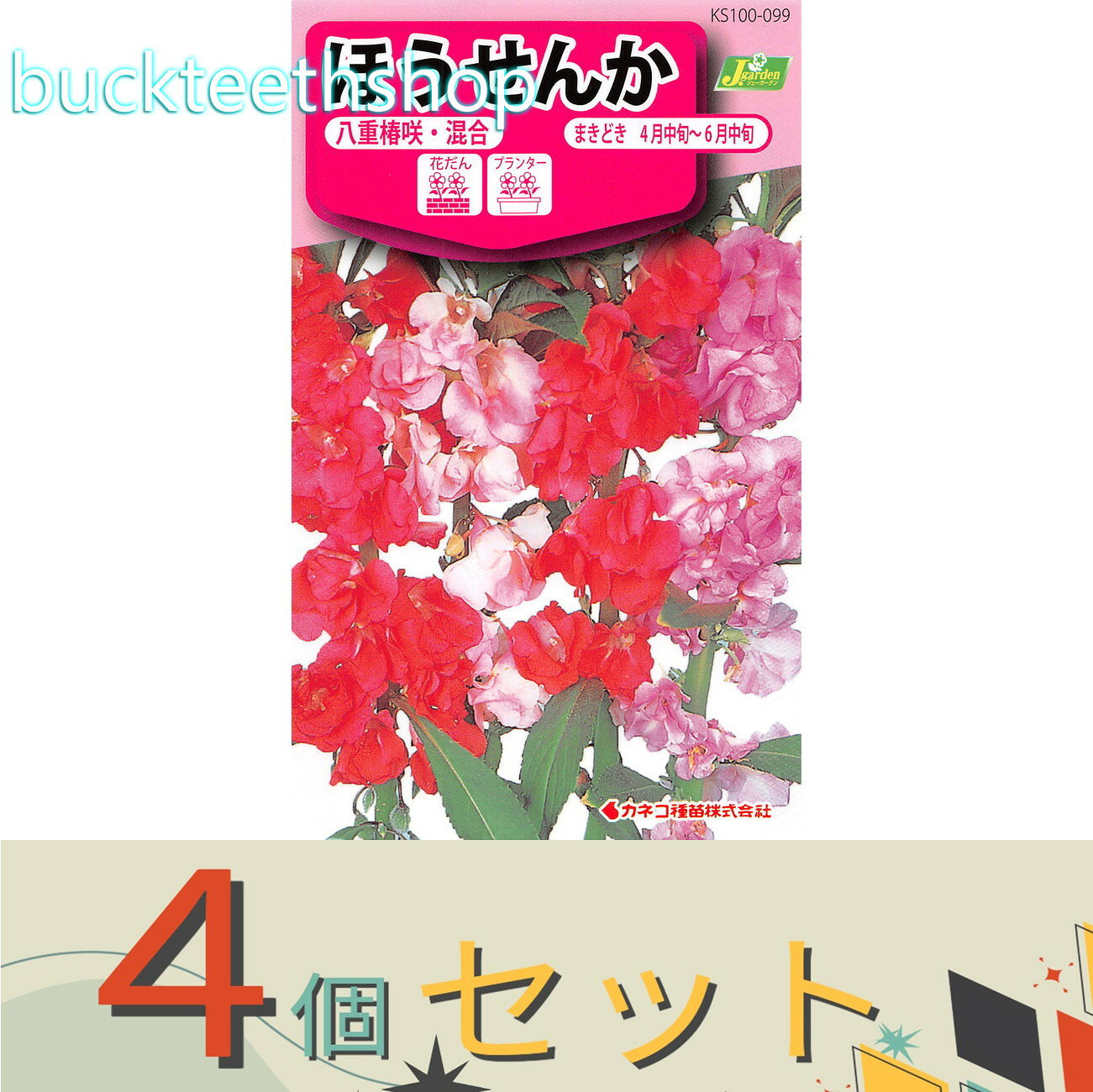 ※4個セット※カネコ種苗　タネ　ほうせんか　八重椿咲・混合