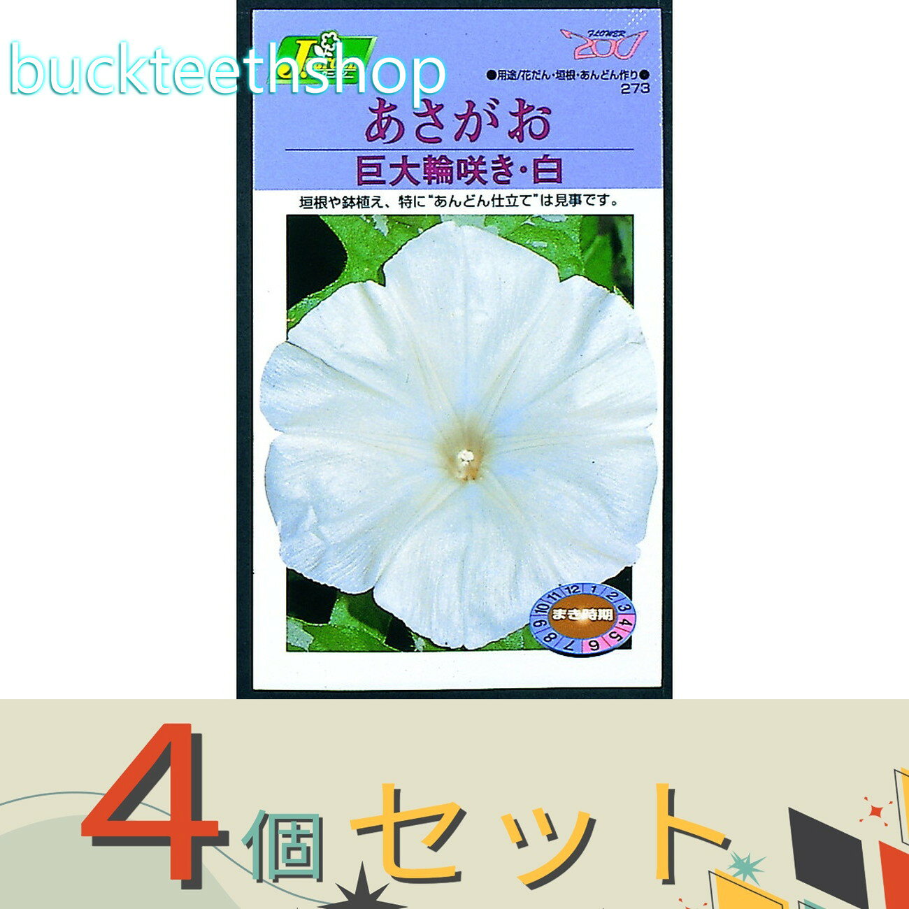※4個セット※カネコ種苗　タネ　あさがお　巨大輪咲き・白