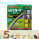 ※5個セット※レインボー薬品 シバキープ3粒剤 3kg