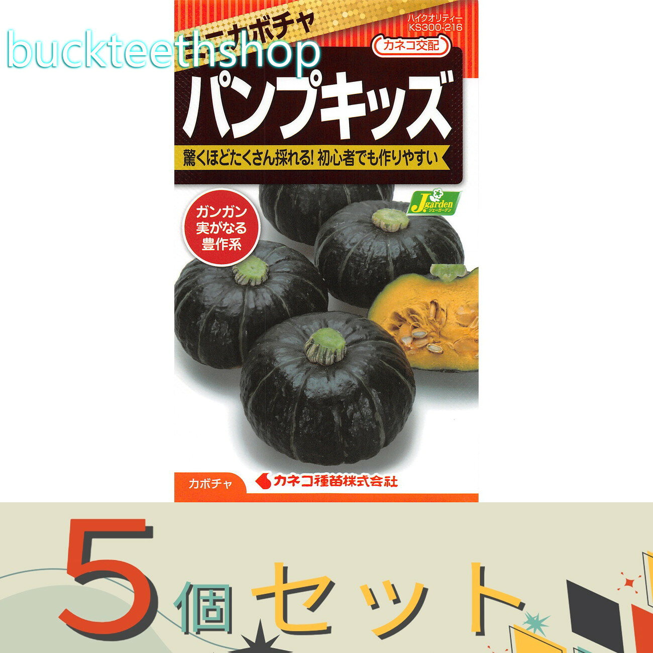※5個セット※カネコ種苗　タネ　ミニかぼちゃ　パンプキッズ