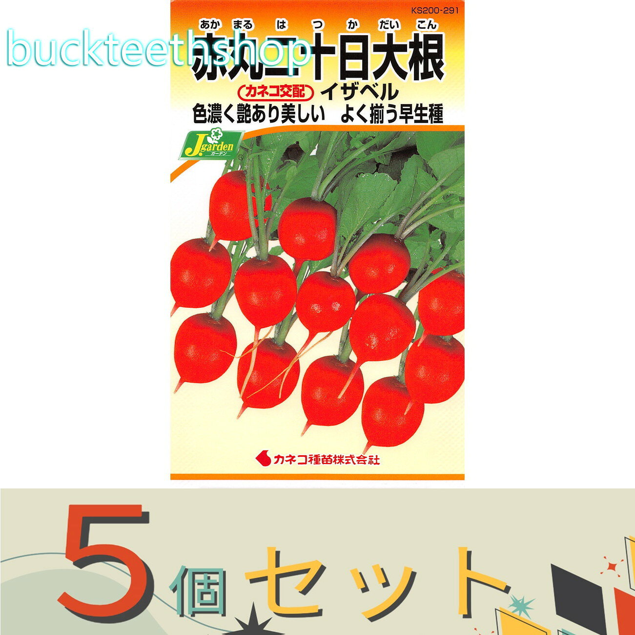 ※5個セット※カネコ種苗　タネ　赤丸二十日大根　イザベル