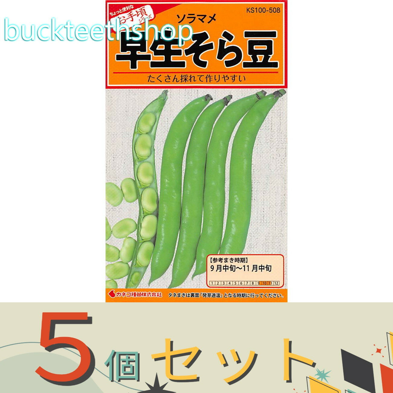 ※5個セット※カネコ種苗　タネ　早生そら豆