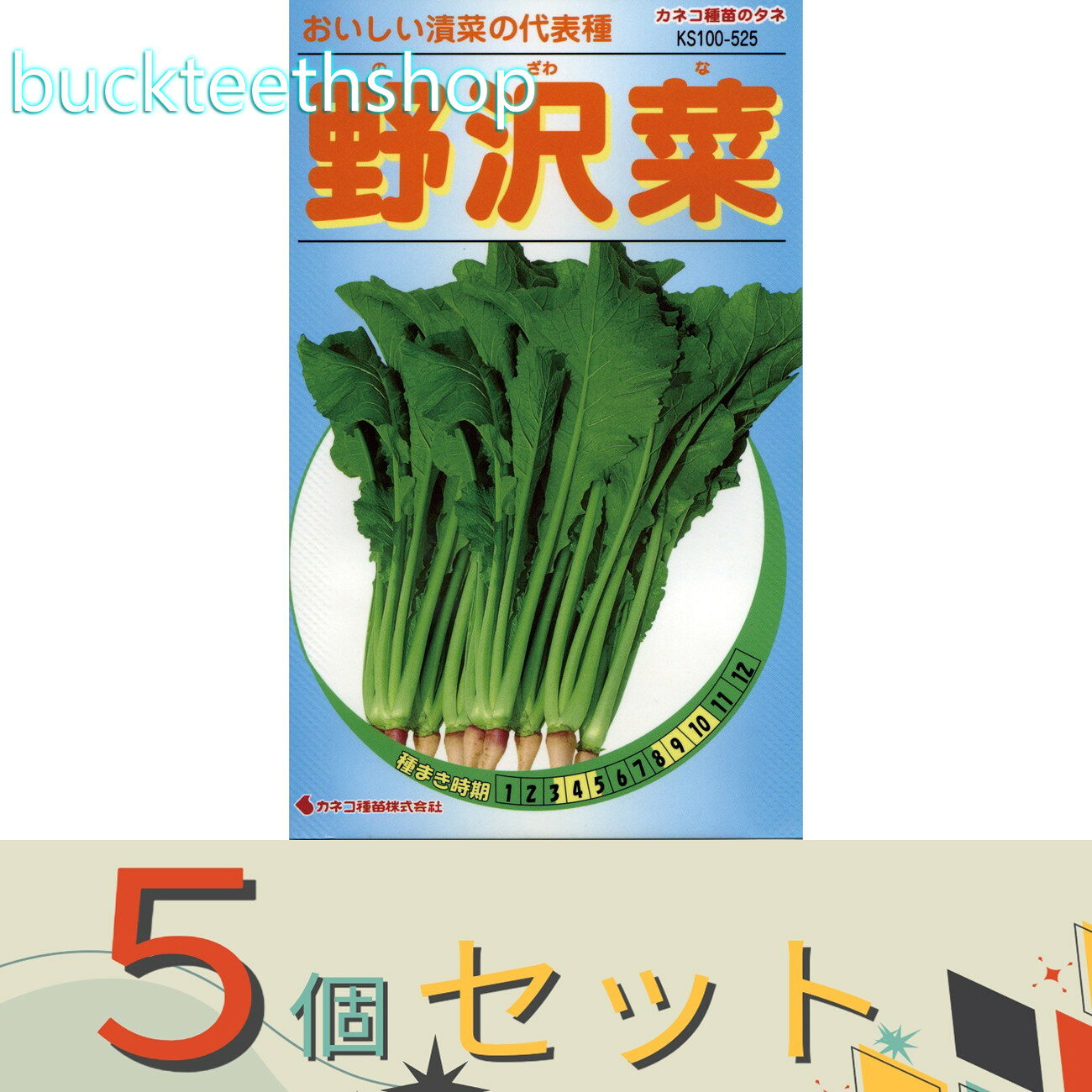 ※5個セット※カネコ種苗　タネ　野沢菜