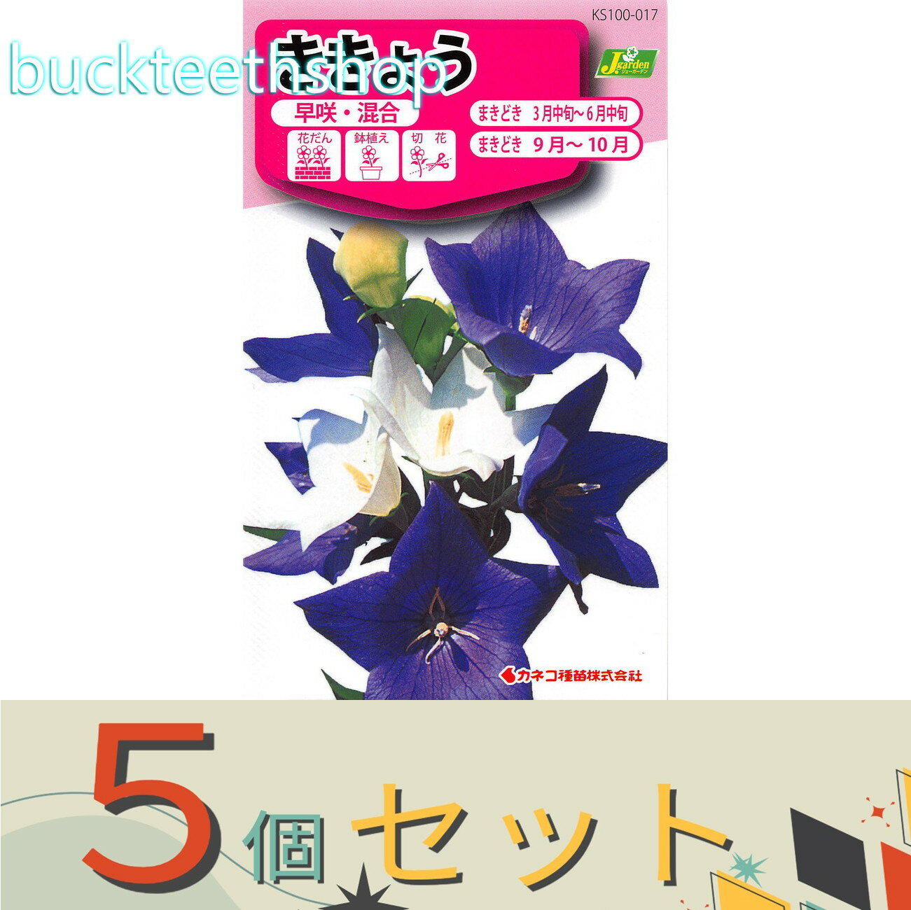 Other - ※5個セット※カネコ種苗　タネ　ききょう　早咲・混合