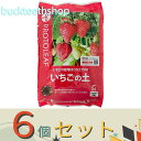 ※6個セット※プロトリーフ イチゴの土 5L (Pリーフ)