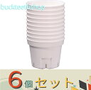 ※6個セット※アップルウエア Sポット 75型10個組 ホワイト 【300】4539920901785
