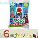 ※6個セット※マルタ小泉商事(有) グリーンキング 1kg