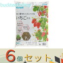 ※6個セット※(株)リッチェル営業 クロレラの恵みR いちごの土 7L 【6】4945680700795