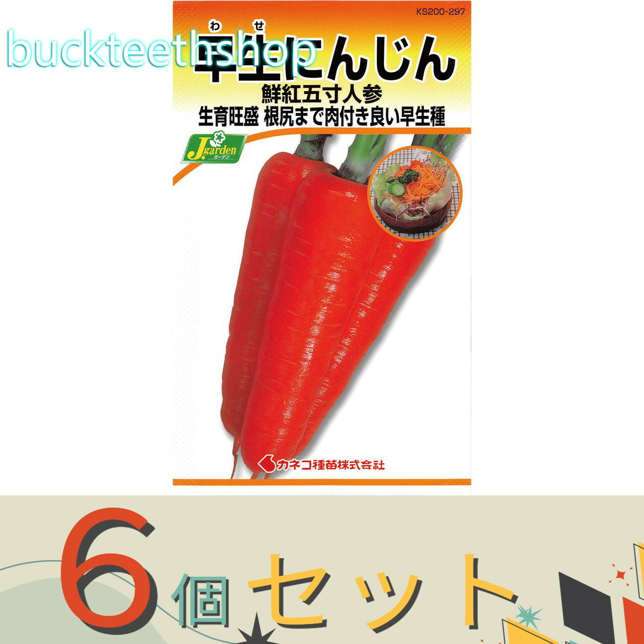※6個セット※カネコ種苗　タネ　早生にんじん　鮮紅五寸人参