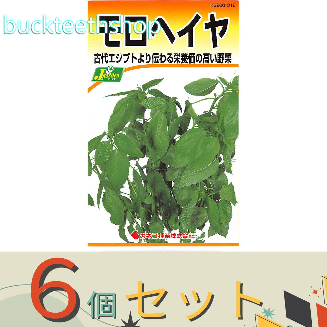 ※6個セット※カネコ種苗　タネ　モロヘイヤ