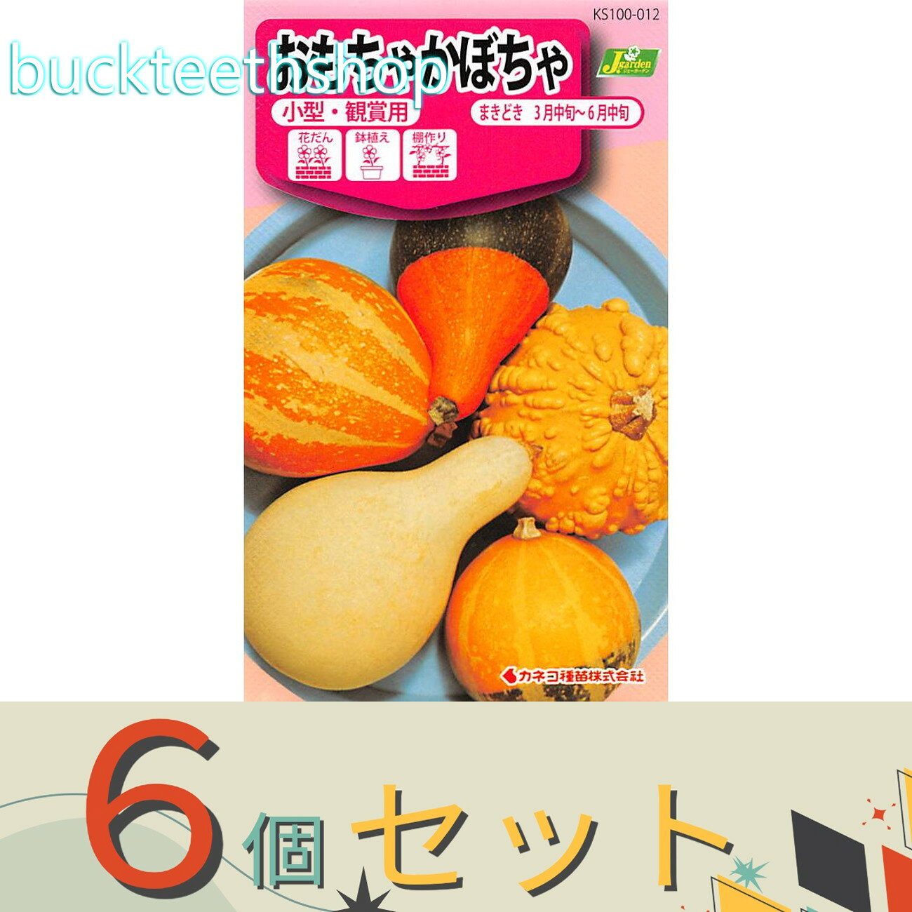 ※6個セット※カネコ種苗　タネ　おもちゃかぼちゃ　小型・観賞用