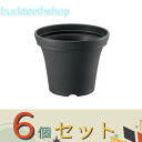 ※6個セット※(株)リッチェル営業 ノヴェルポット30型N DG 【24】708736