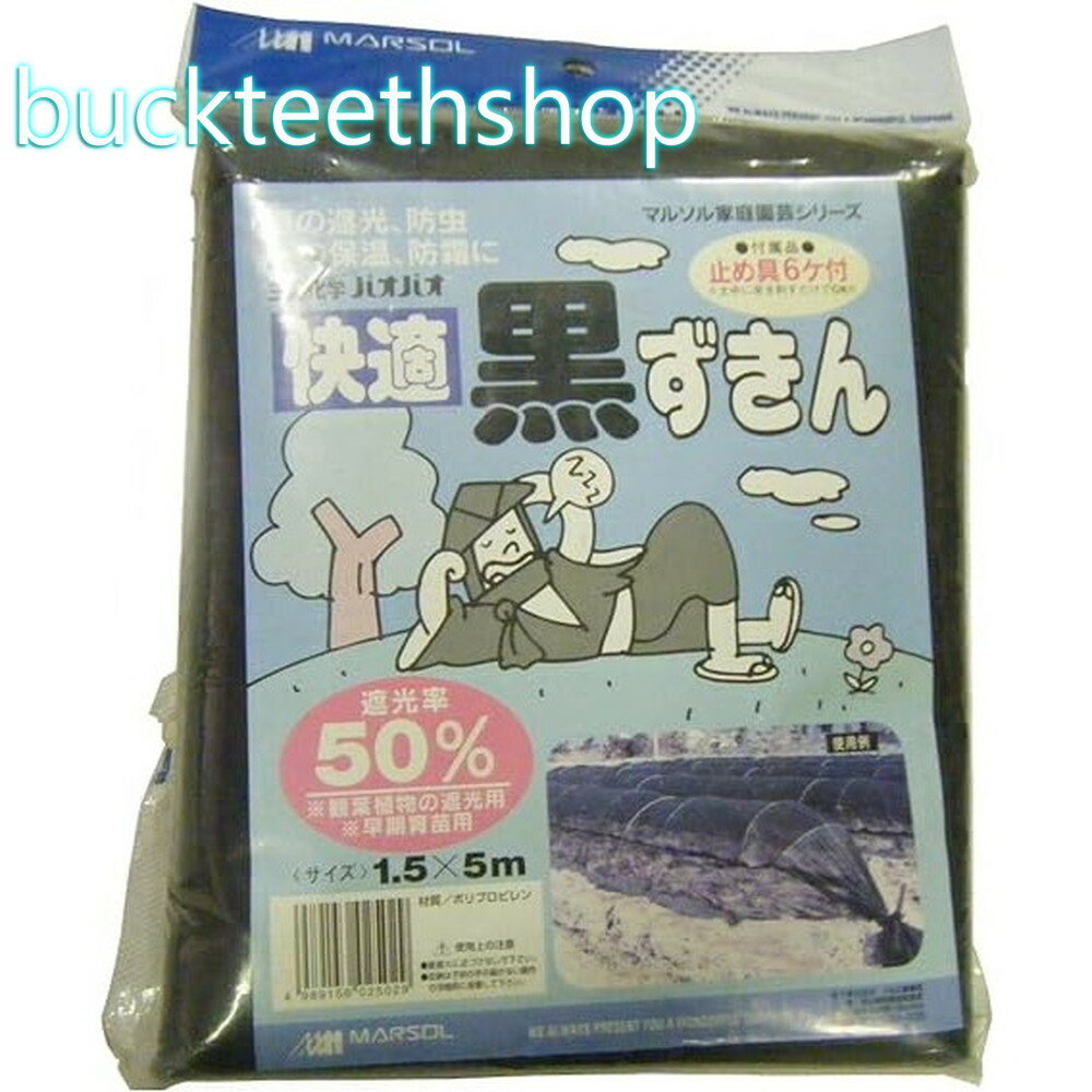 日本マタイ　黒ずきん　1．5×5