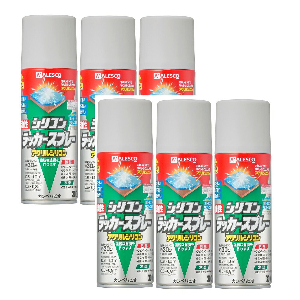 カンペハピオ 油性シリコンラッカースプレー シルバー 300ML 内箱入り6本セット