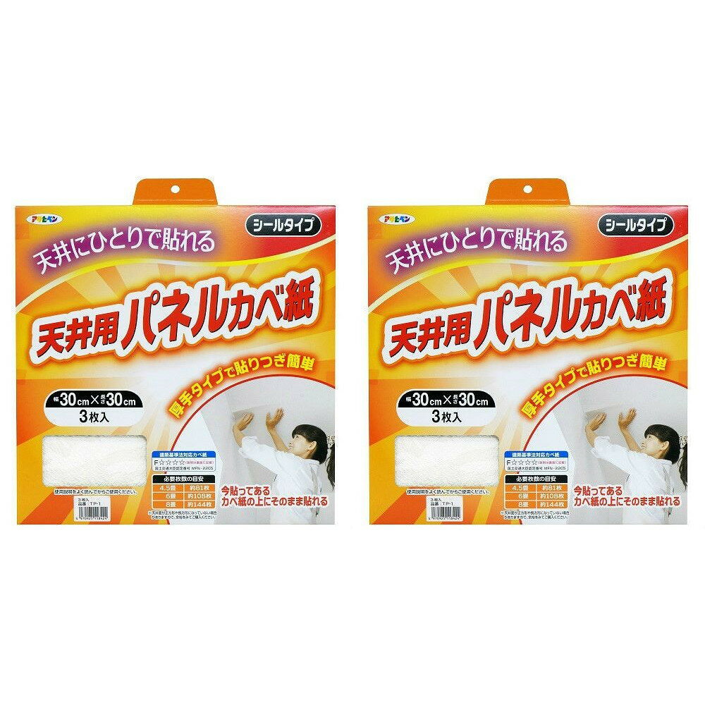 アサヒペン 厚手タイプ天井用パネルカベ紙 3枚入り TP−1 2箱セット