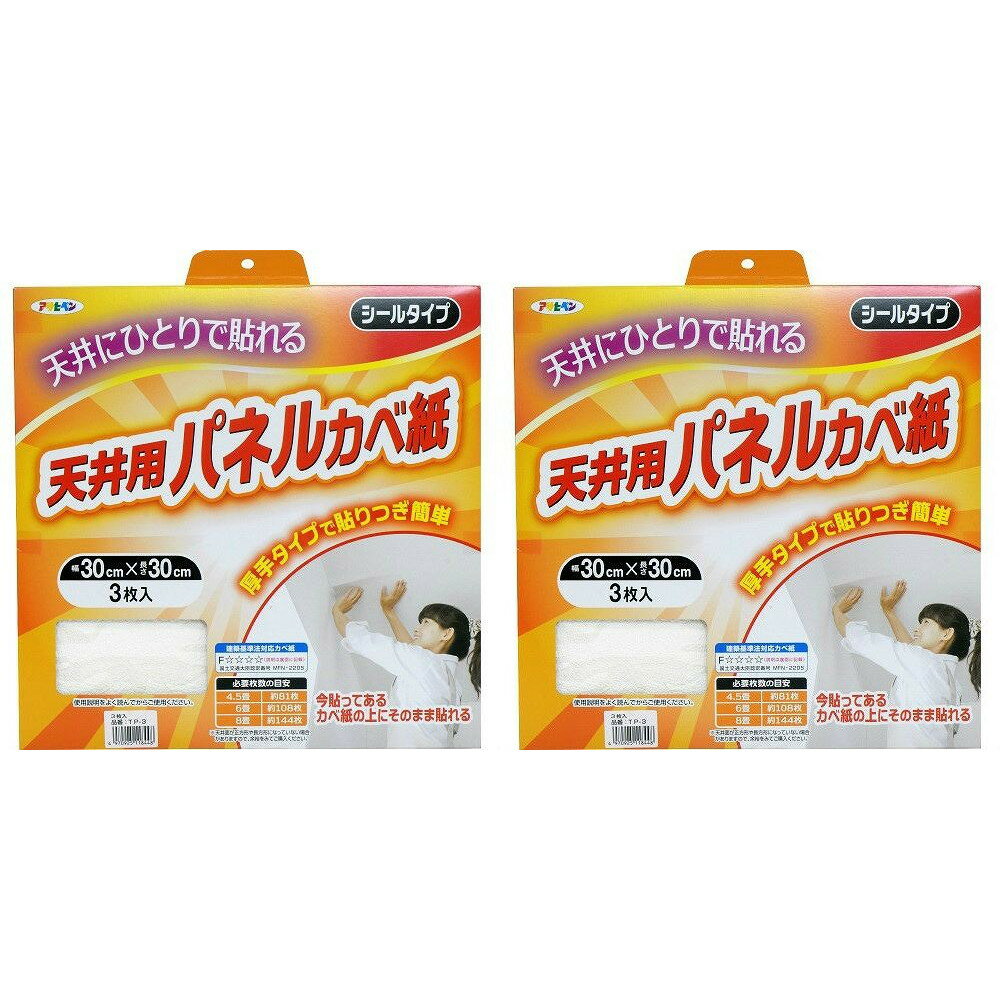 アサヒペン 厚手タイプ天井用パネルカベ紙 3枚入り TP−3 2箱セット