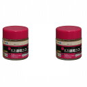 アサヒペン 速乾ニス 100ML 透明(クリヤ) 2缶セット