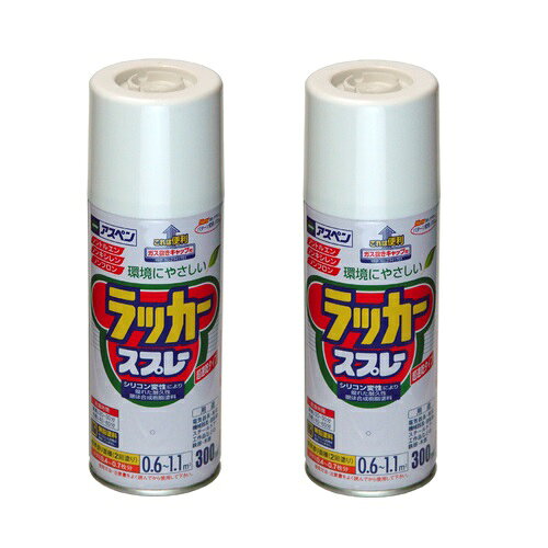 アサヒペン アスペンラッカースプレー 300ML ツヤ消し黒 2缶セット