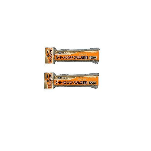 �����ҥڥ� PC�����顼�Х����ڥ��������ǽ�� 100MM RSO−100SP 2�ܥ��å�