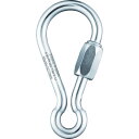 【あす楽対応・送料無料】PEGUET MR クイックリンク スチール製 アイレット 3.0mm