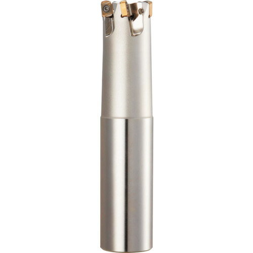 【あす楽対応・送料無料】ダイジェット　マックスマスター　BODY