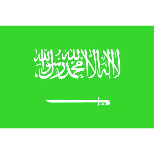 【あす楽対応・送料無料】東京製旗 国旗No．1 70 105cm サウジアラビア