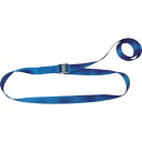 【あす楽対応・送料無料】TESAC ラッシングベルト(ベルト荷締機)カムバックル式エンドレスタイプ