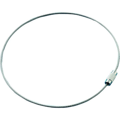 緑十字　ワイヤリング（キーワイヤ）　金具25　1．5Φ×300mm　10本組　ステンレス製 JAN：4932134008668 メーカー：（株）日本緑十字社 / ブランド：緑十字 / 原産国：中国 特長 ●ネジ式なので取り外しが簡単で、バルブ表示札の設置などに便利です。●サビに強いステンレス製です。 用途 ●バルブ表示札などの設置に。 仕様 ●長さ(mm)：300●全長(mm)：300●径(mm)：1.5●色：シルバー 仕様（詳細） ●取付方法：ネジ式●セット商品：10個1組●適合穴径：4mmφ以上 材質／仕上 ●ステンレス ご注意●4mmφ以上の穴に使用可能です。