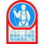 【あす楽対応・送料無料】緑十字　ヘルメット用ステッカー　フルハーネス型墜落制止用器具特別教育修了者　HL−128　35×25mm　10枚組　オレフィン