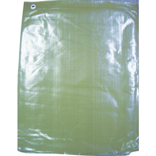 【あす楽対応・送料無料】萩原　カラーシート　＃3000ターピーODグリーンシート　3．6m×5．4m