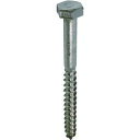 【あす楽対応・送料無料】ダイドーハント ステンレス コーチスクリュー 8x40(13頭)(35本)