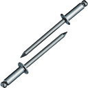 【あす楽対応・送料無料】エビ ブラインドリベット(ステンレス/ステンレス製) 5−6(1000本入) 箱入