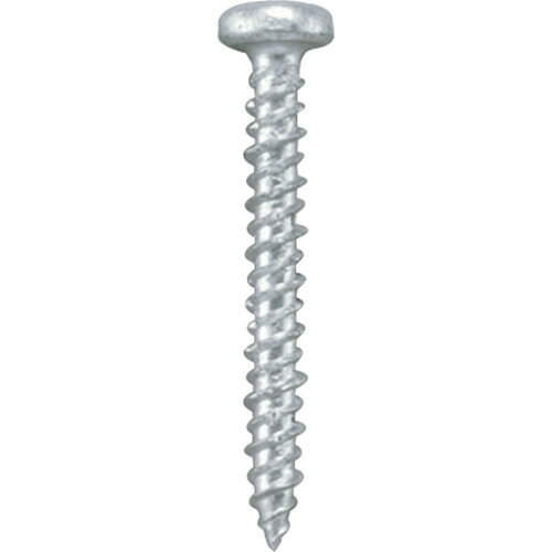 【あす楽対応・送料無料】エビ　プラグレスビス（100本入）　5．0X25mm