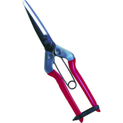 【あす楽対応・送料無料】チカマサ　青果鋏(4)