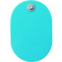 【あす楽対応・送料無料】TRUSCO クリップ付小判札 大 無地 60X40mm 5枚入 空色
