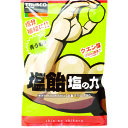 【あす楽対応・送料無料】TRUSCO 【※軽税】塩飴 塩の力 100g袋入 青梅味 (1袋入)(4)