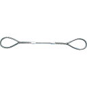 【あす楽対応・送料無料】TRUSCO Wスリング Aタイプ 6mmX4.0m