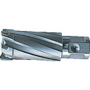 【あす楽対応・送料無料】大見 35SQクリンキーカッター 31.0mm