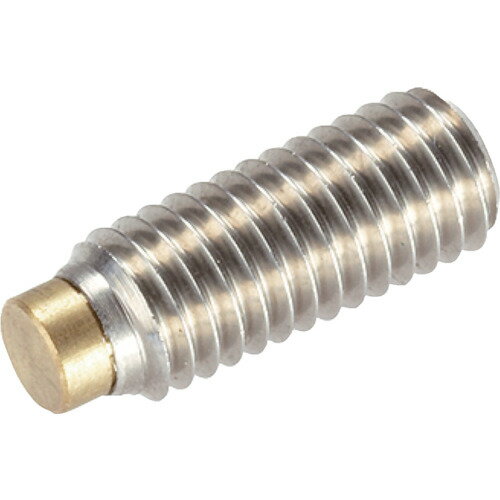 HALDER　プレッシャースクリュー　黄銅ピン付　ステンレス鋼　外径M10　長さ27