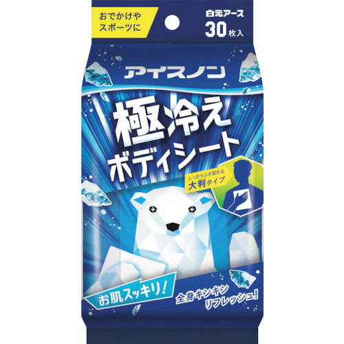 アイスノン　極冷えボディーシート　ミントの香り