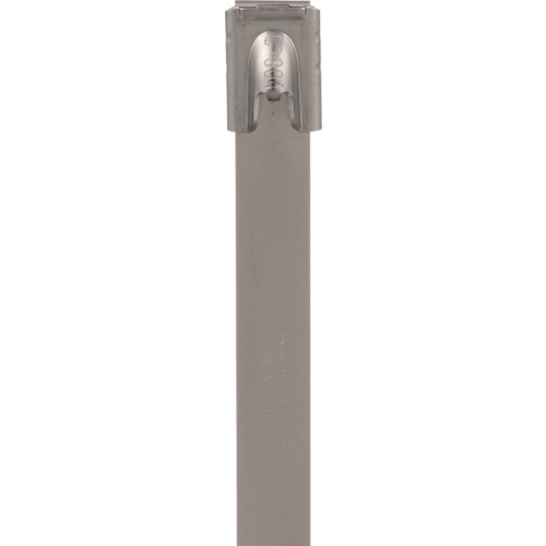 ストロングホールド　ステンレススチールバンド　SUS316L　長さ521mm　幅7．9mm　5...