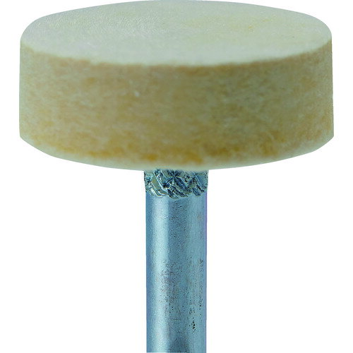 �ʥ��˥����ե���ȥХե��եȥ����ס�����5������