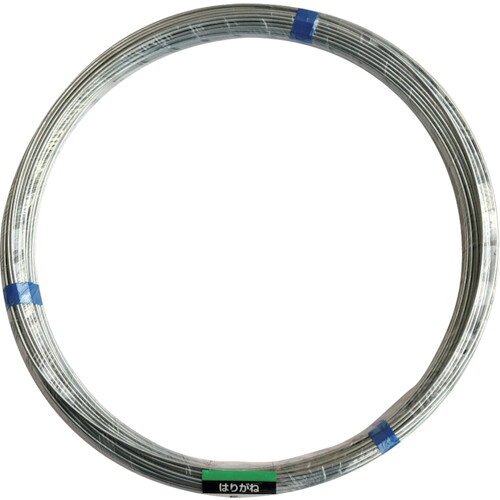 DAIDOHANT　針金　5Kg巻　＃10