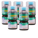 和信ペイント ポアーステイン オーク 300ml 5缶セット