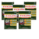 和信ペイント ガードラック プロ GP−3 チーク 4L 5缶セット