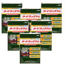 和信ペイント ガードラック プロ GP−5 チョコレート 4L 6缶セット