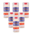 和信ペイント ラッカーサンディングシーラー 300ml 6缶セット